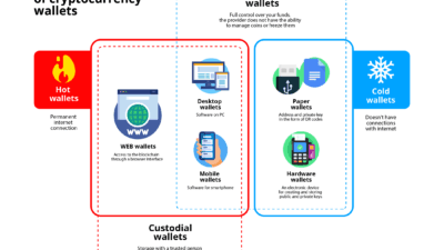 desventajas de wallets en linea y mitigacion